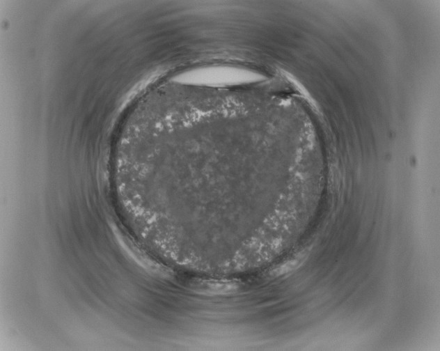 X0000085840443200704132107