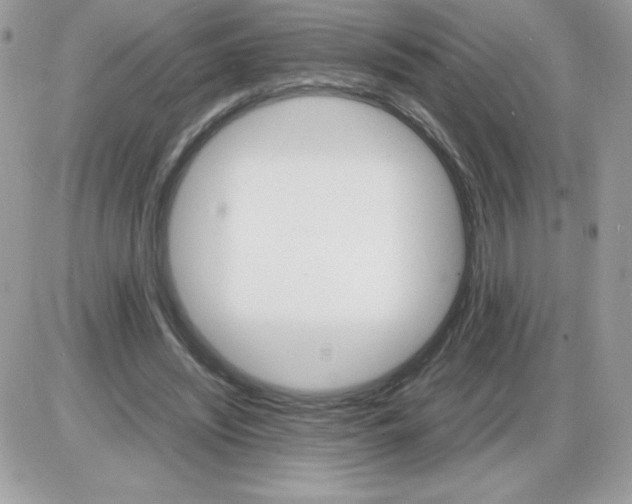 X0000085840444200704132107