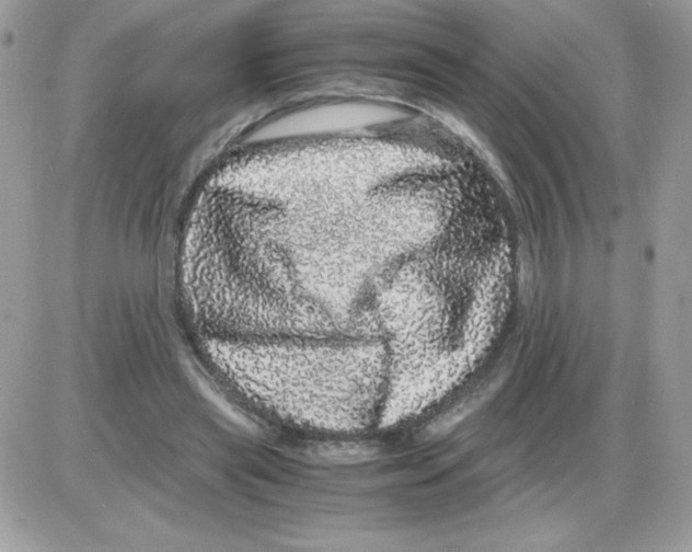 X0000085840445200704132107