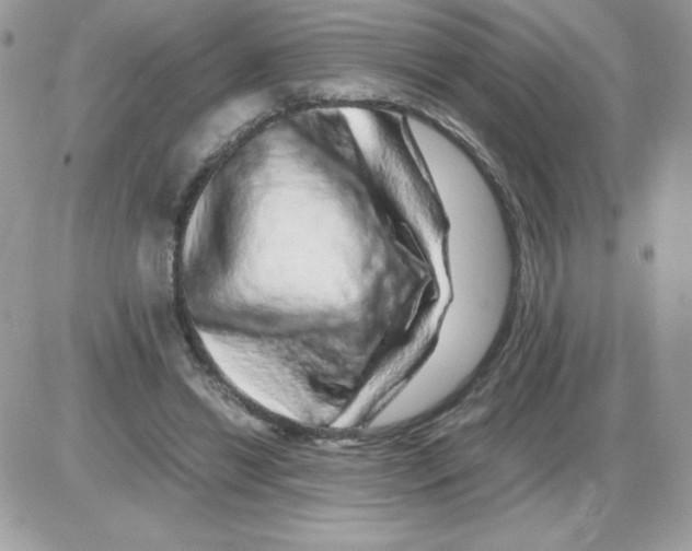 X0000085840446200704132107