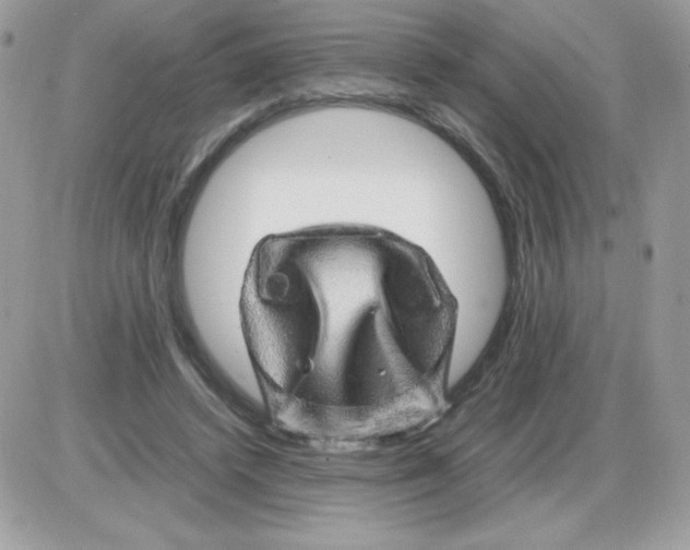 X0000085840448200704132107