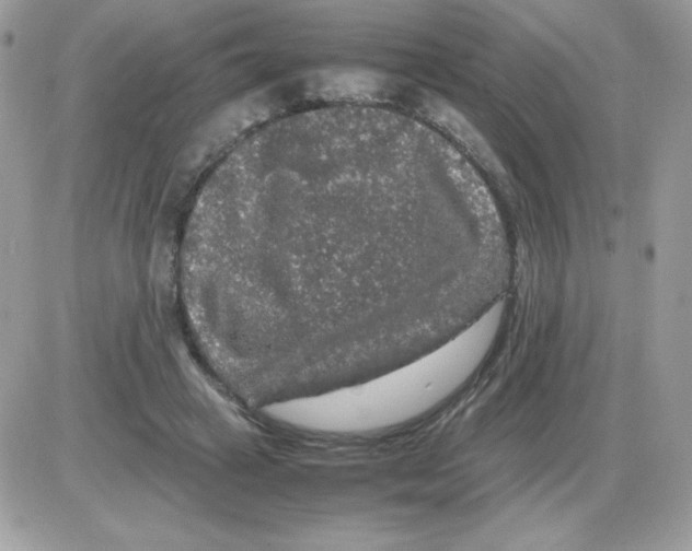 X0000085840449200704132107