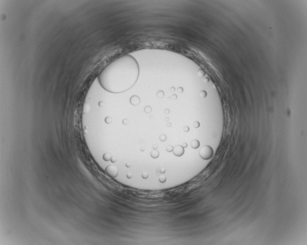 X0000085840451200704132108