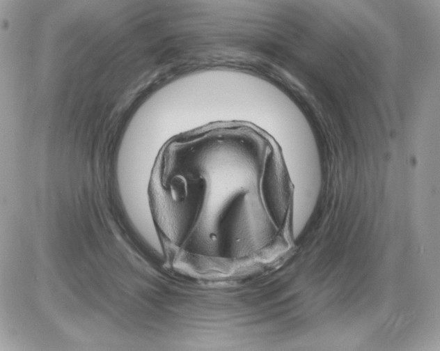 X0000085840452200704132108