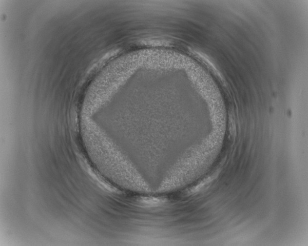 X0000085840453200704132108