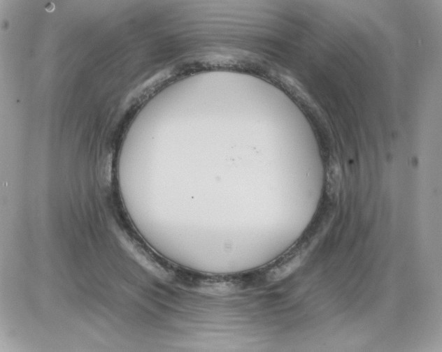 X0000085840454200704132108