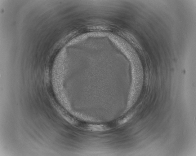 X0000085840457200704132108