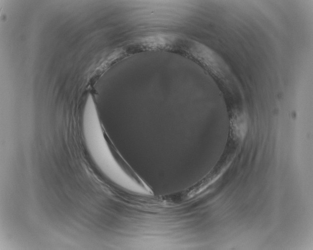 X0000085840458200704132108