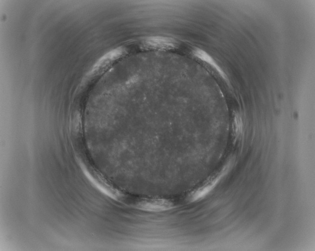 X0000085840459200704132108