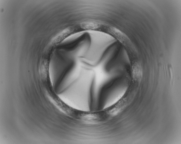 X0000085840460200704132108