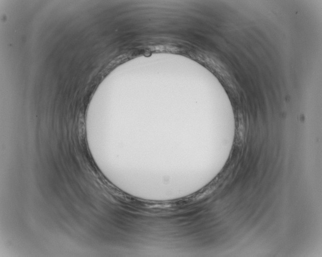 X0000085840461200704132108