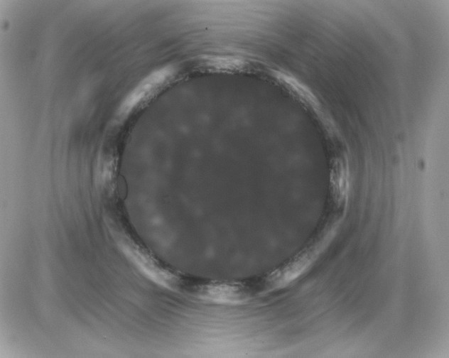 X0000085840462200704132108