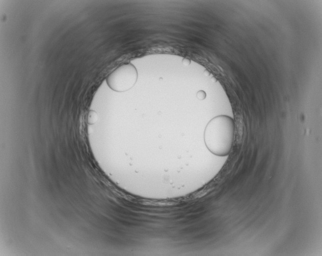 X0000085840463200704132108