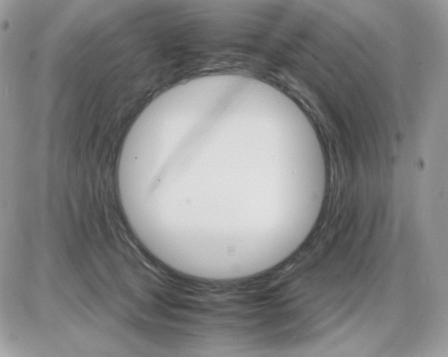 X0000085840465200704132108