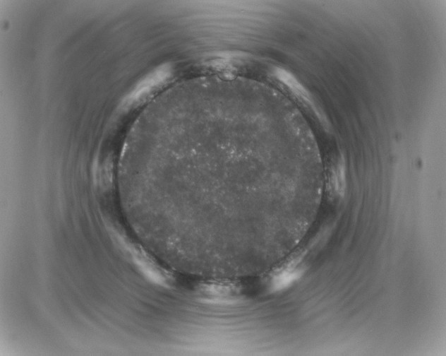 X0000085840466200704132108