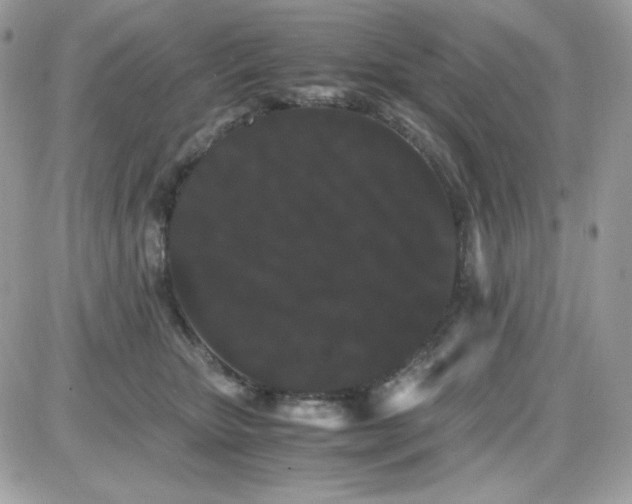 X0000085840467200704132108