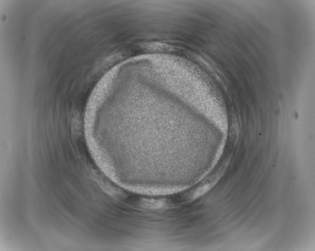 X0000085840469200704132108