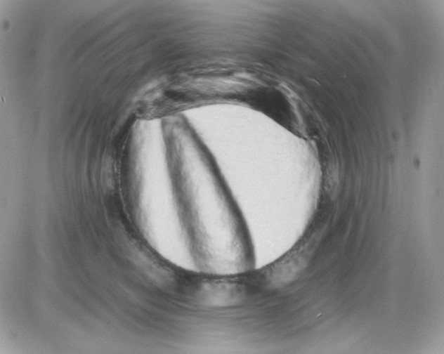 X0000085840470200704132108