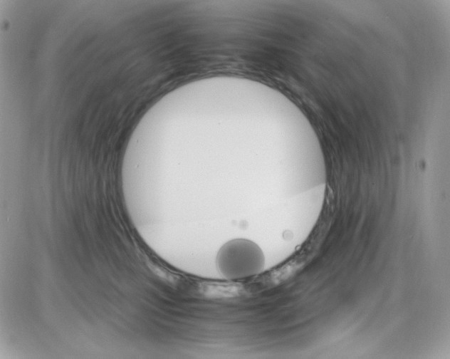 X0000085840471200704132108