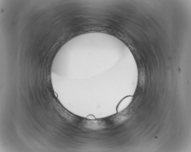 X0000085840473200704132108