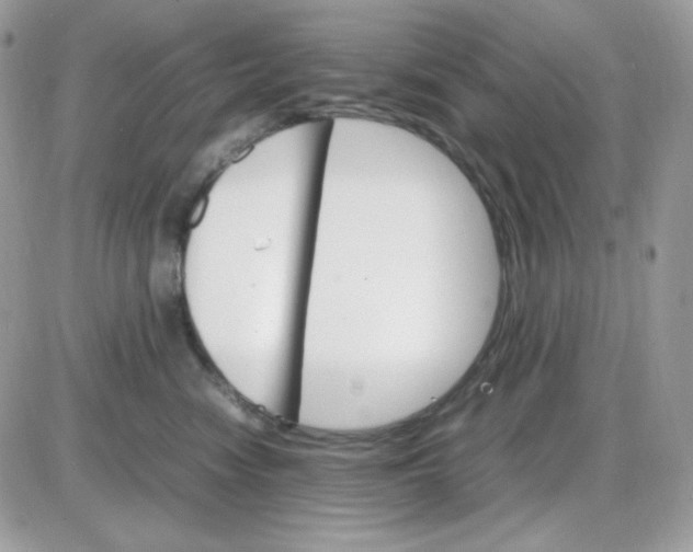 X0000085840474200704132108