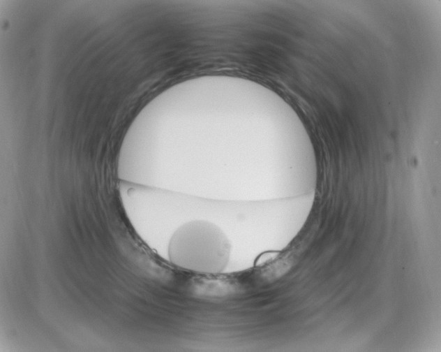 X0000085840475200704132108