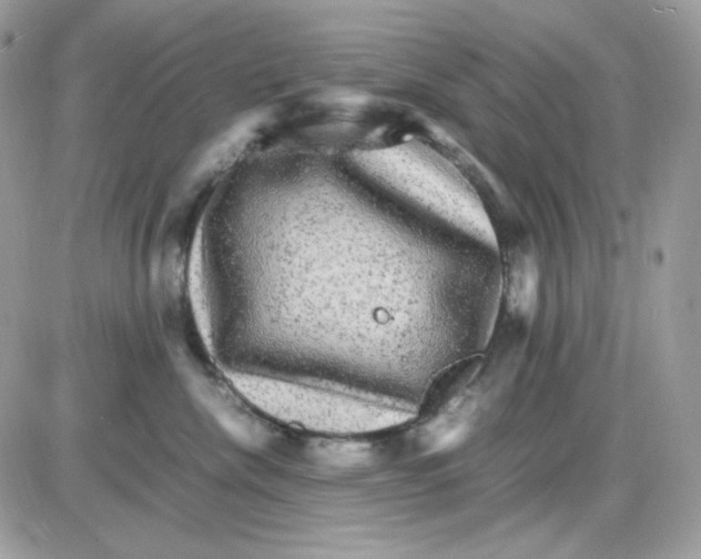 X0000085840476200704132108