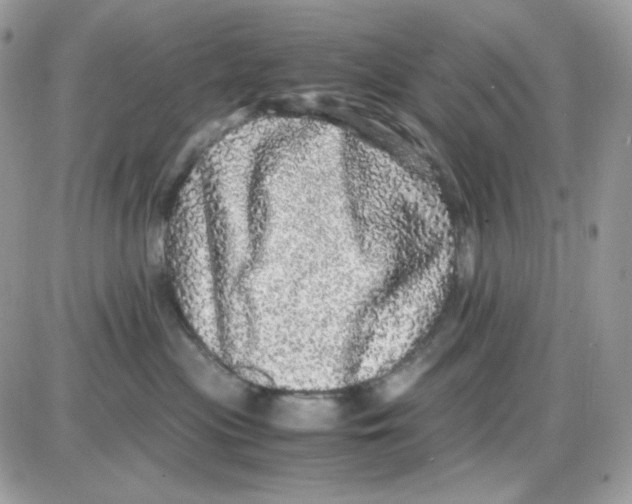 X0000085840477200704132108