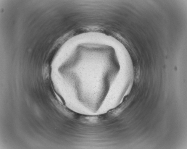 X0000085840478200704132108