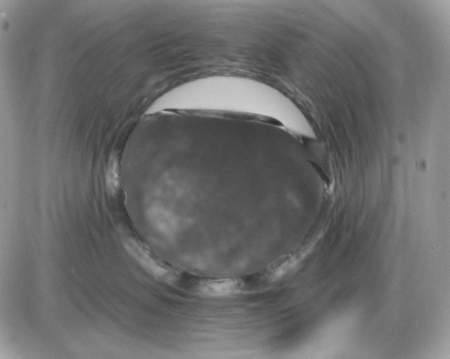 X0000085840479200704132108