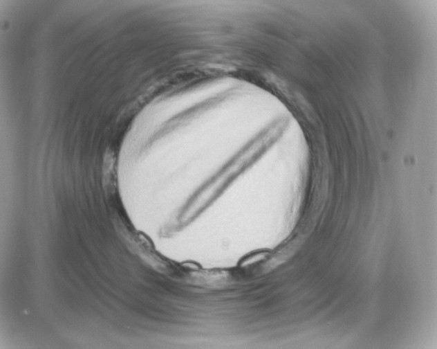 X0000085840480200704132108