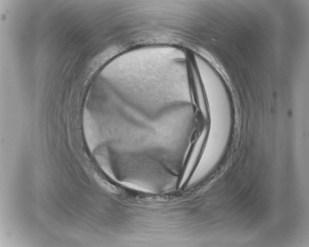 X0000085840481200704132107