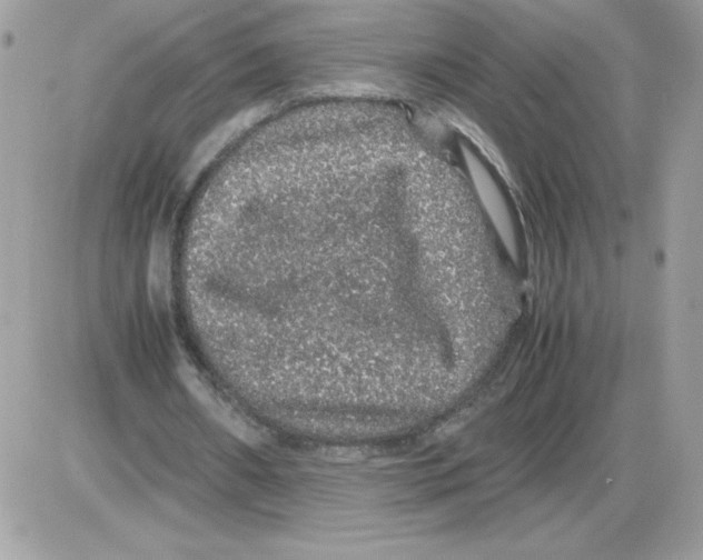 X0000085840482200704132107