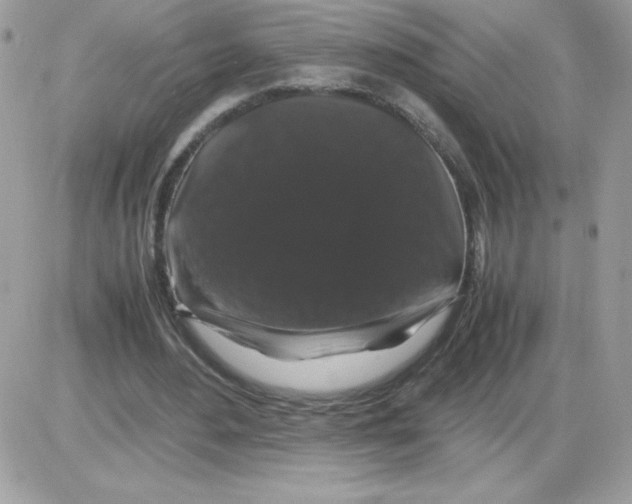 X0000085840484200704132107