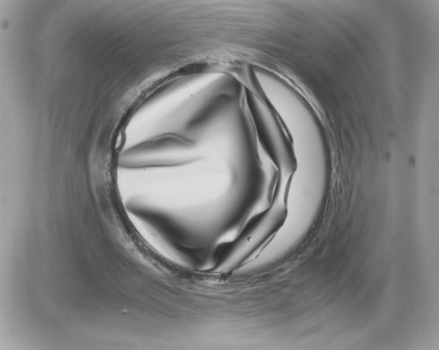 X0000085840485200704132107