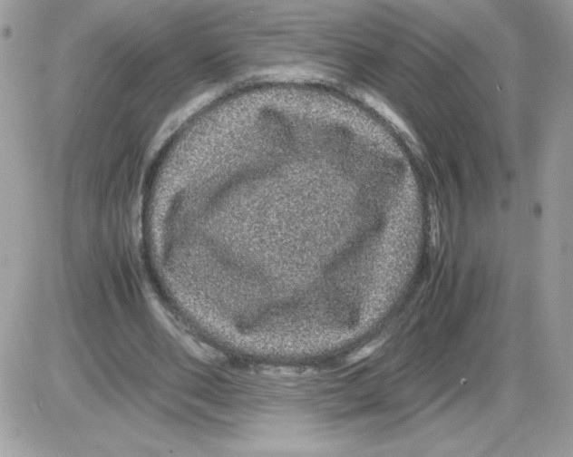 X0000085840486200704132107