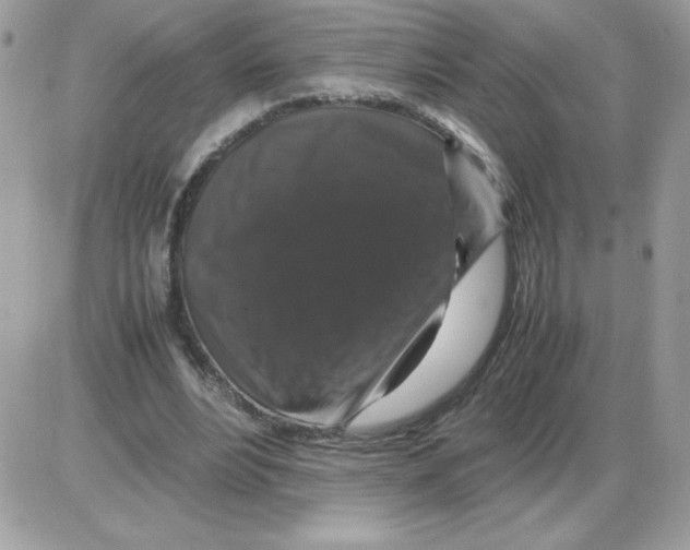 X0000085840488200704132107