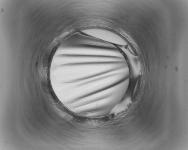 X0000085840489200704132107