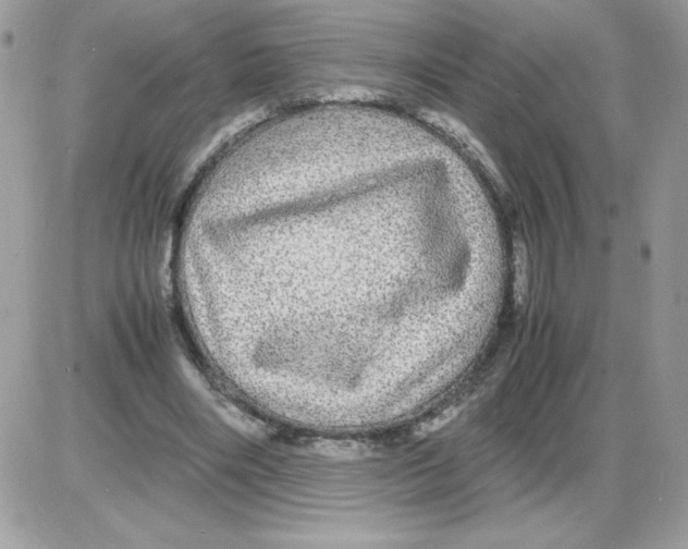 X0000085840490200704132107