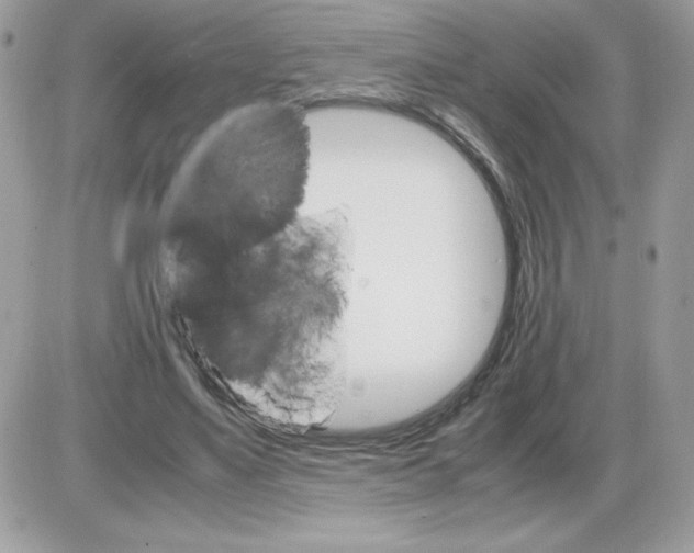 X0000085840491200704132107