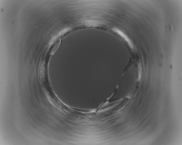 X0000085840492200704132107