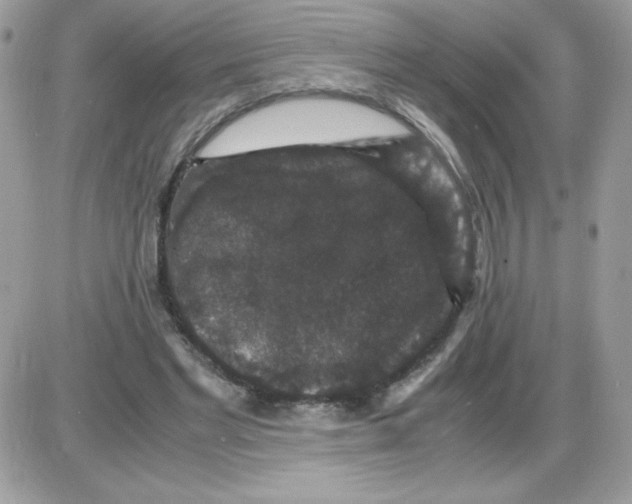 X0000085840493200704132107