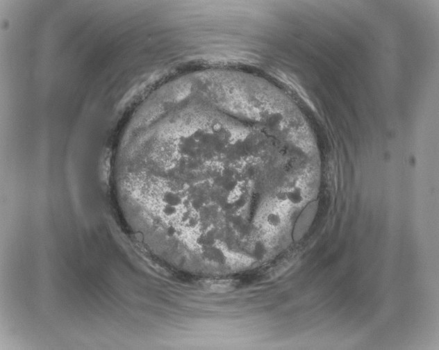 X0000085840495200704132107