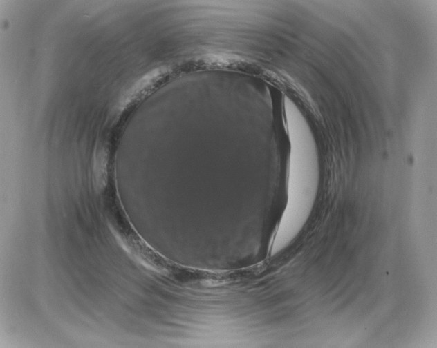 X0000085840496200704132107