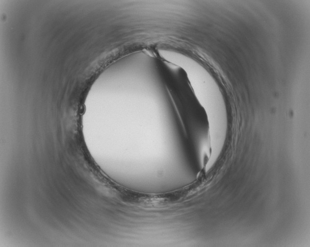 X0000085840497200704132107