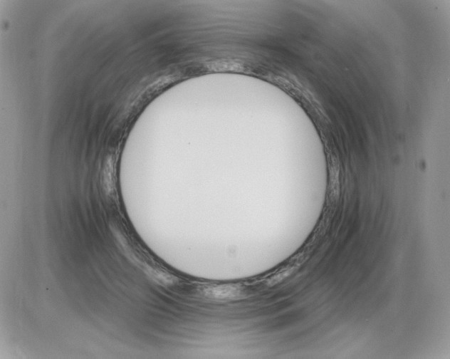 X0000085840498200704132107