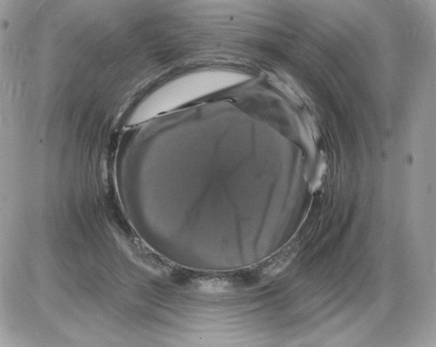 X0000085840500200704132107