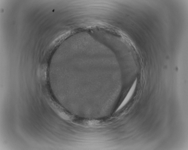 X0000085840501200704132107