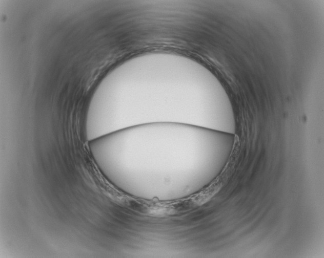 X0000085840504200704132107