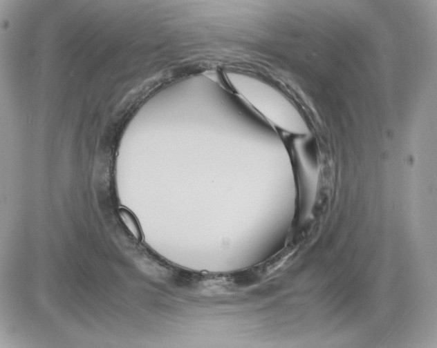 X0000085840505200704132107